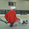Sled hockey sticks