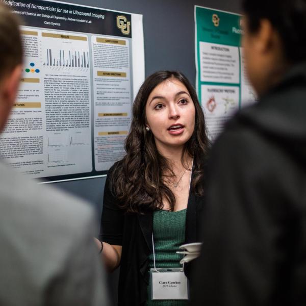Scholars conference poster session