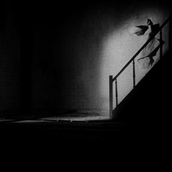 Still from Ben Rivers' film