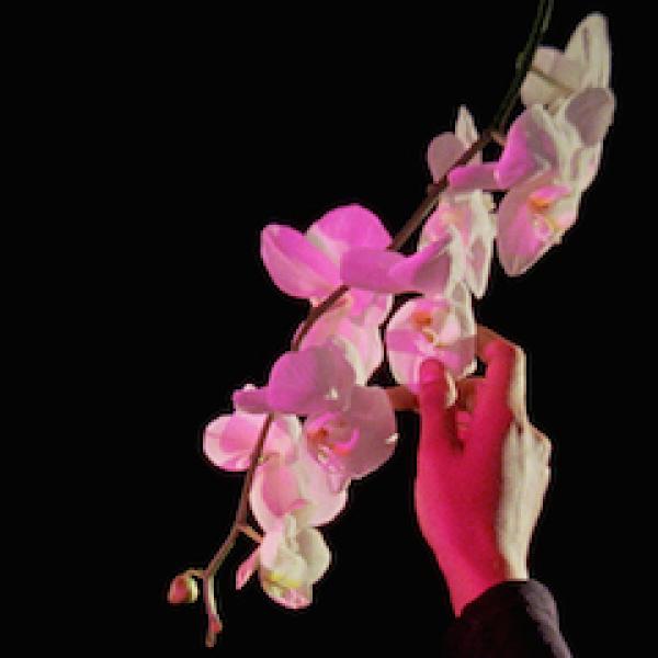still from 16th Brakhage symposium