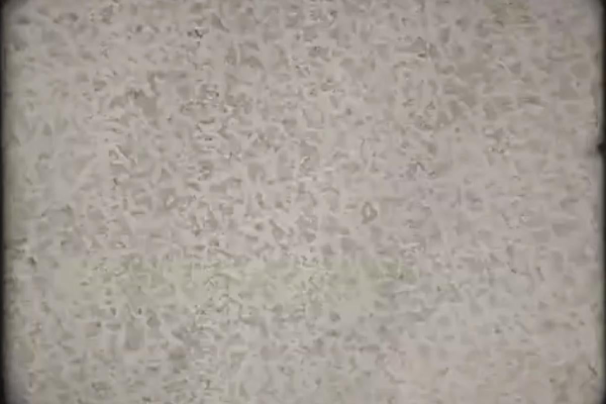 Still from Takahashi's work