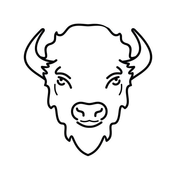 Head on buffalo 2