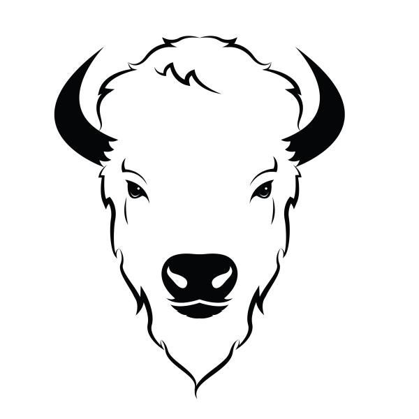 Head on buffalo 1