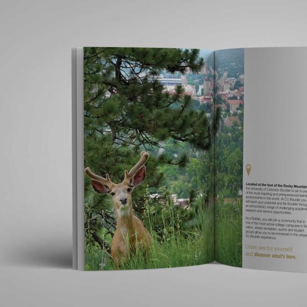Interior pages Admissions Visit brochure