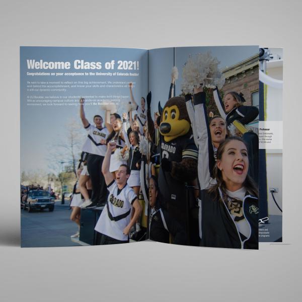 Interior pages of Admissions Value brochure