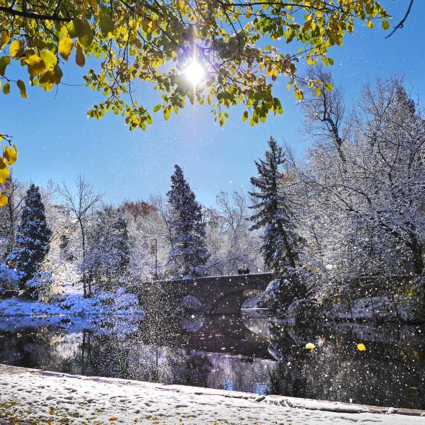 A dusting of snow around Varsity Lake on campus
