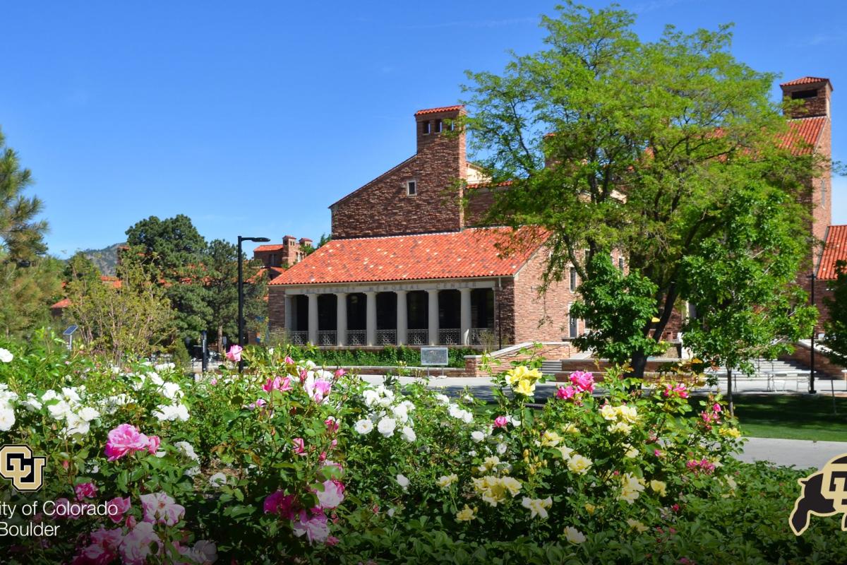 South entrance of the UMC