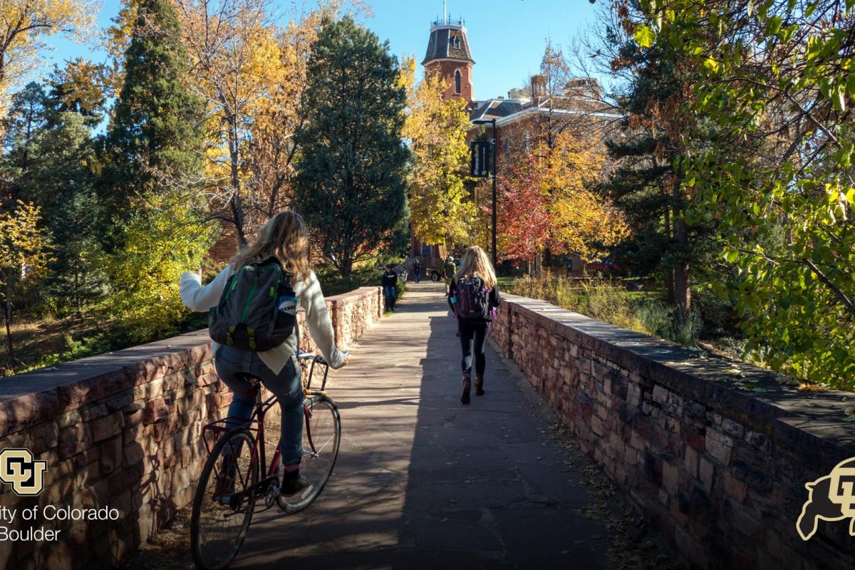 Students on the bridge over Varsity Pond