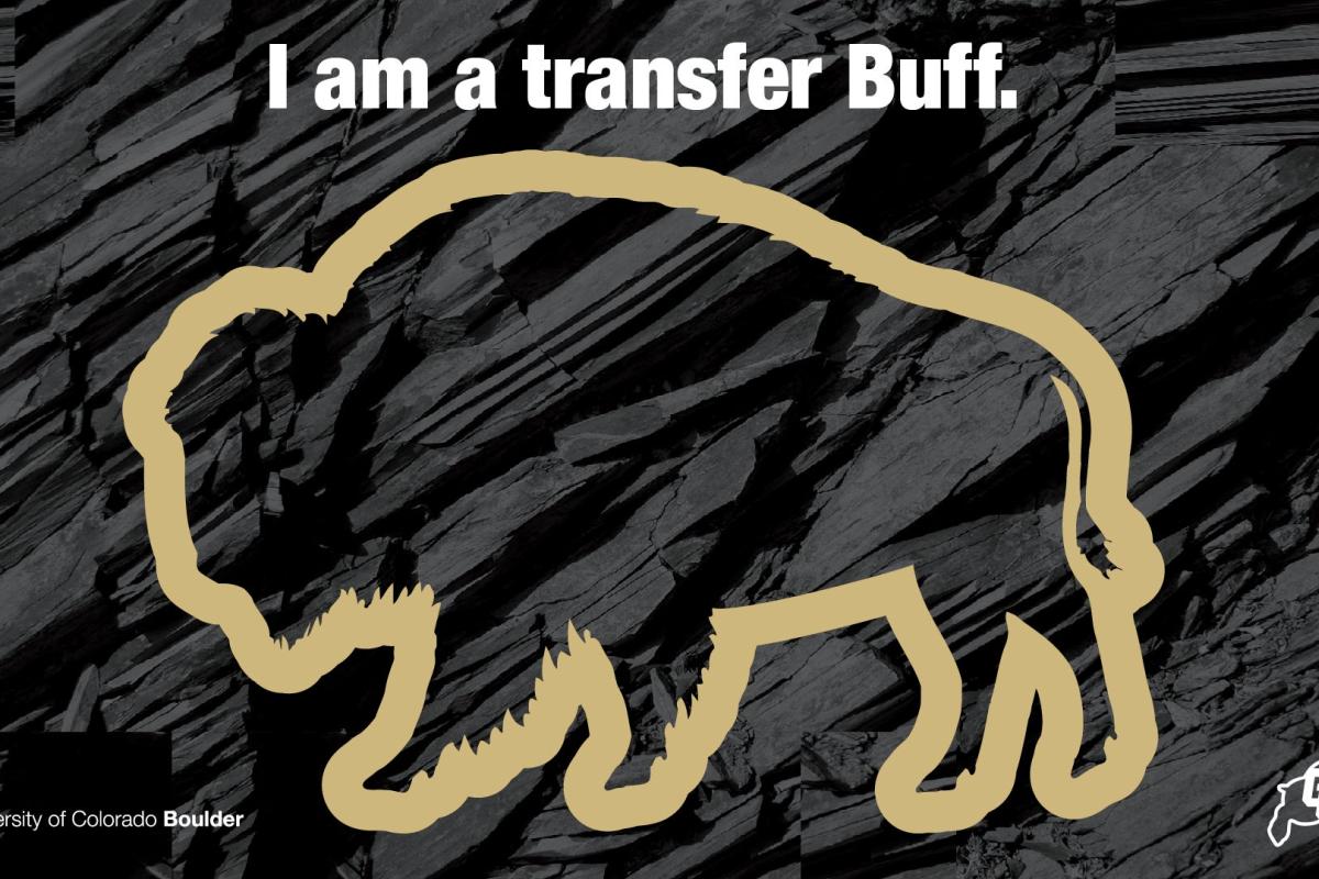 I Am a Transfer Buff centered text