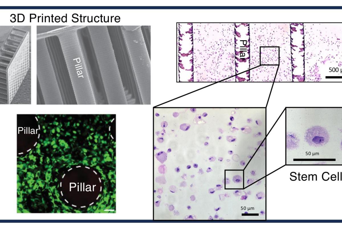 Composite Structure