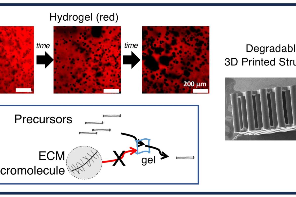 Material Degradation