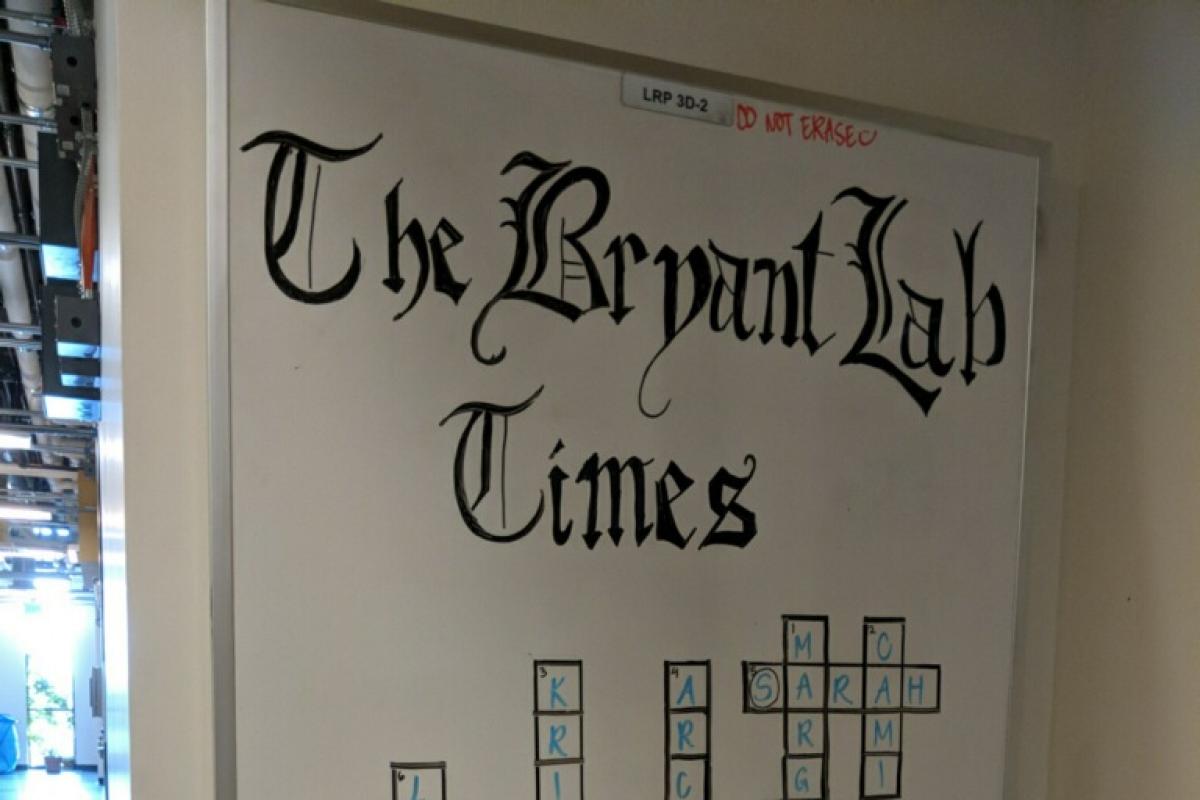 Bryant Lab Times Whiteboard Design