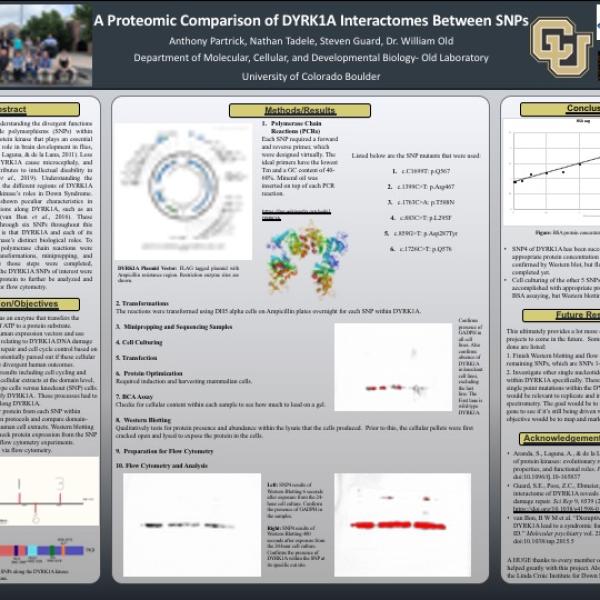 Partrick Poster