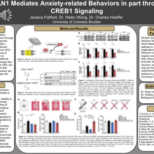 Pafford Poster