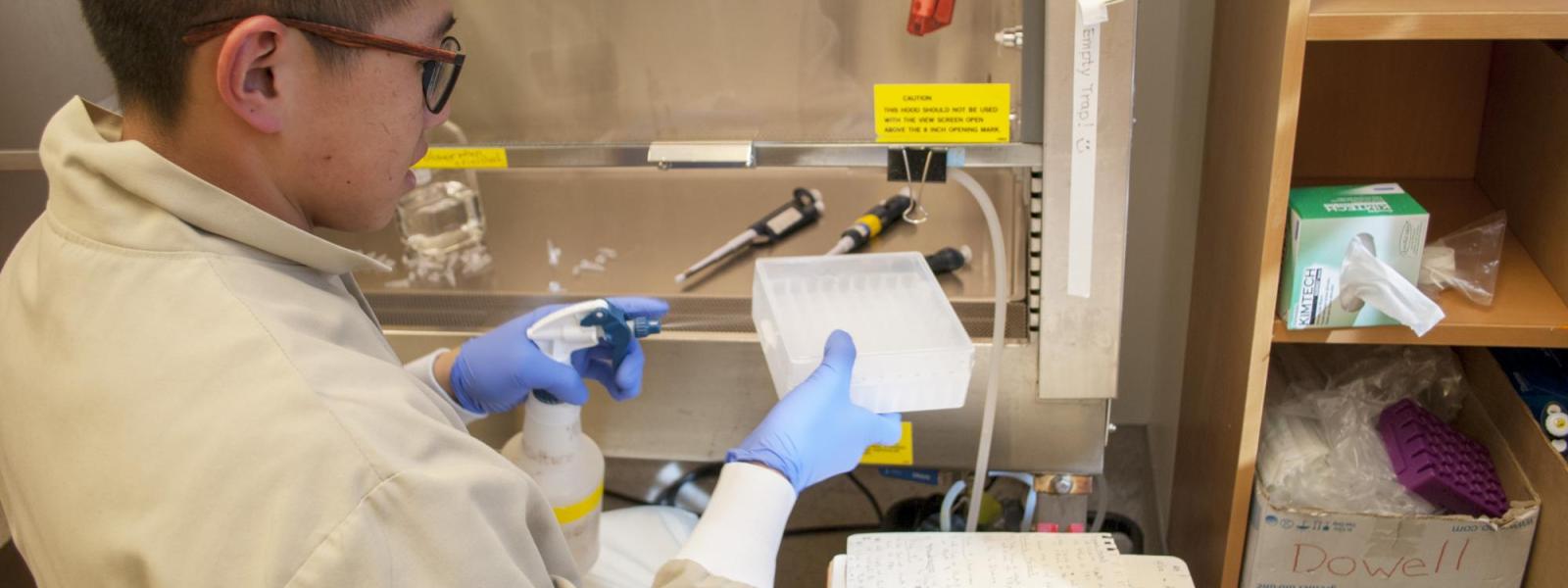 BSI Scholar researcher
