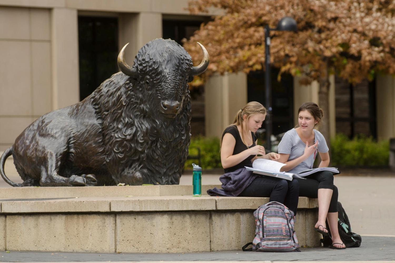 Two female students studying by the buffalo statue. 