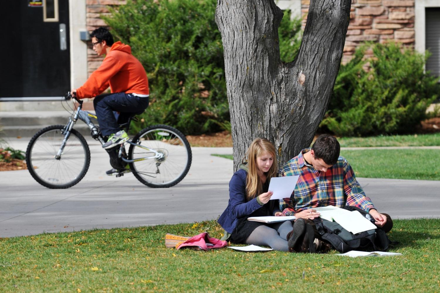 Two students studying outside under a tree.