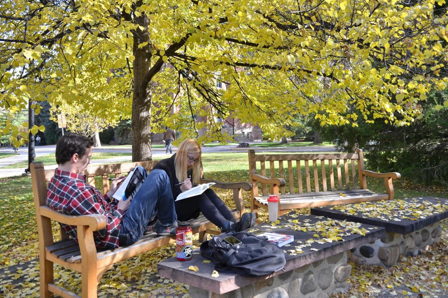 Two students studying outside on a bench.
