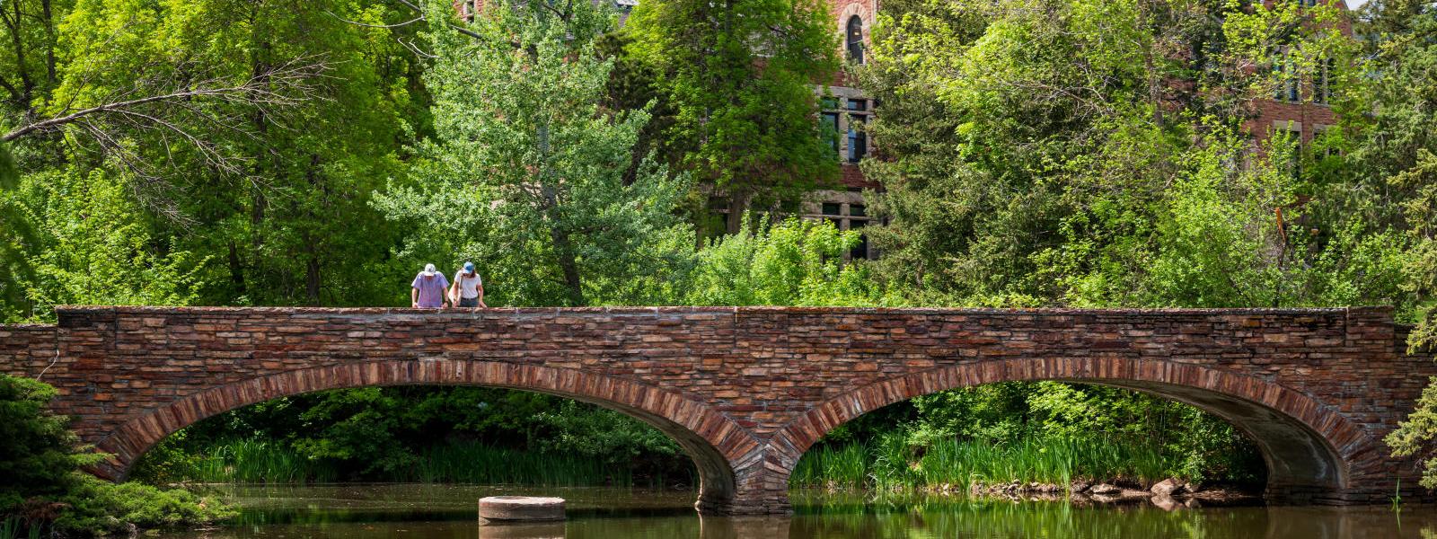 A still pond reflects the image of a bridge on campus.