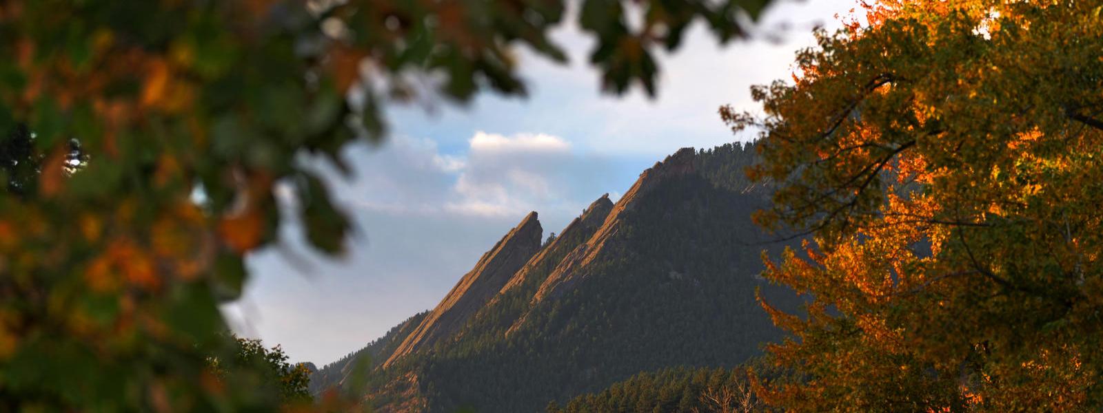Flatirons with fall leaves