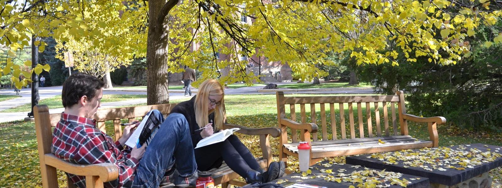 Two students studying outside on a bench.