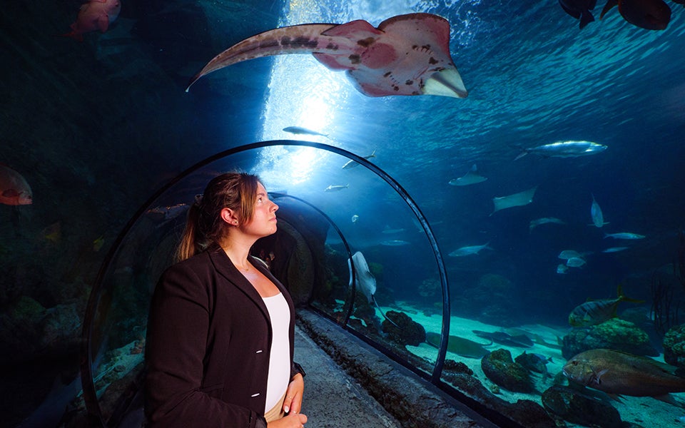 Emma Pearson stands in the Denver Aquarium as fish and rays swim by.