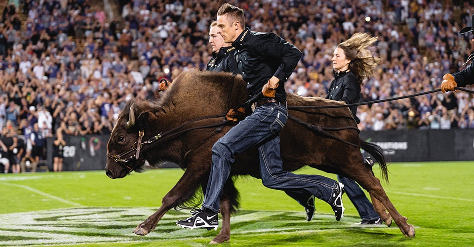 Students in traditional Western attire run alongside the buffalo during a home game. 