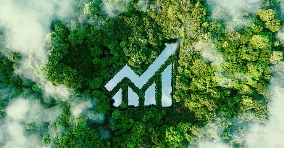 A stock symbol, showing growth, cut into a forest as seen from overhead.