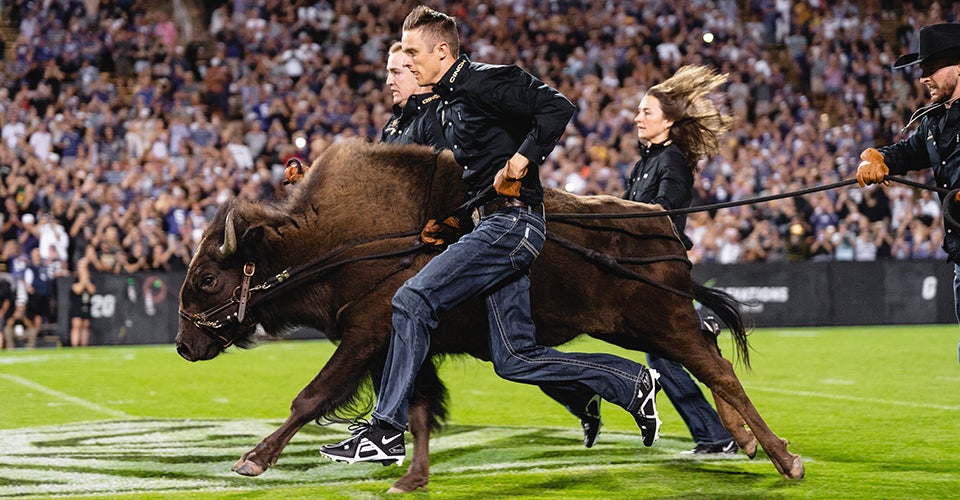 Wes Weber runs alongside Ralphie, the buffalo mascot, on the field during a football game.