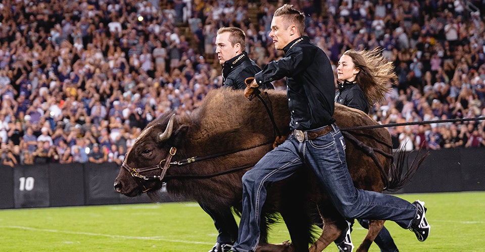 ‘Here Comes Ralphie,’ From Folsom Field to Leeds Résumés | Leeds School ...