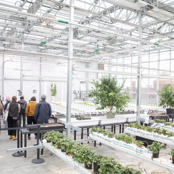 Image of Students at a Greenhouse