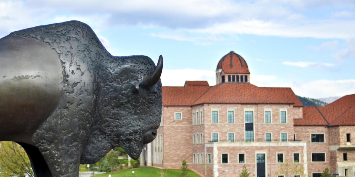 Buffalo statue with Koelbel Building in the background.