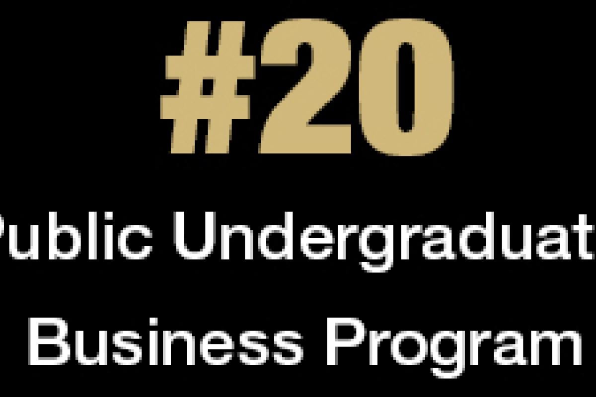#20 ranked public business school