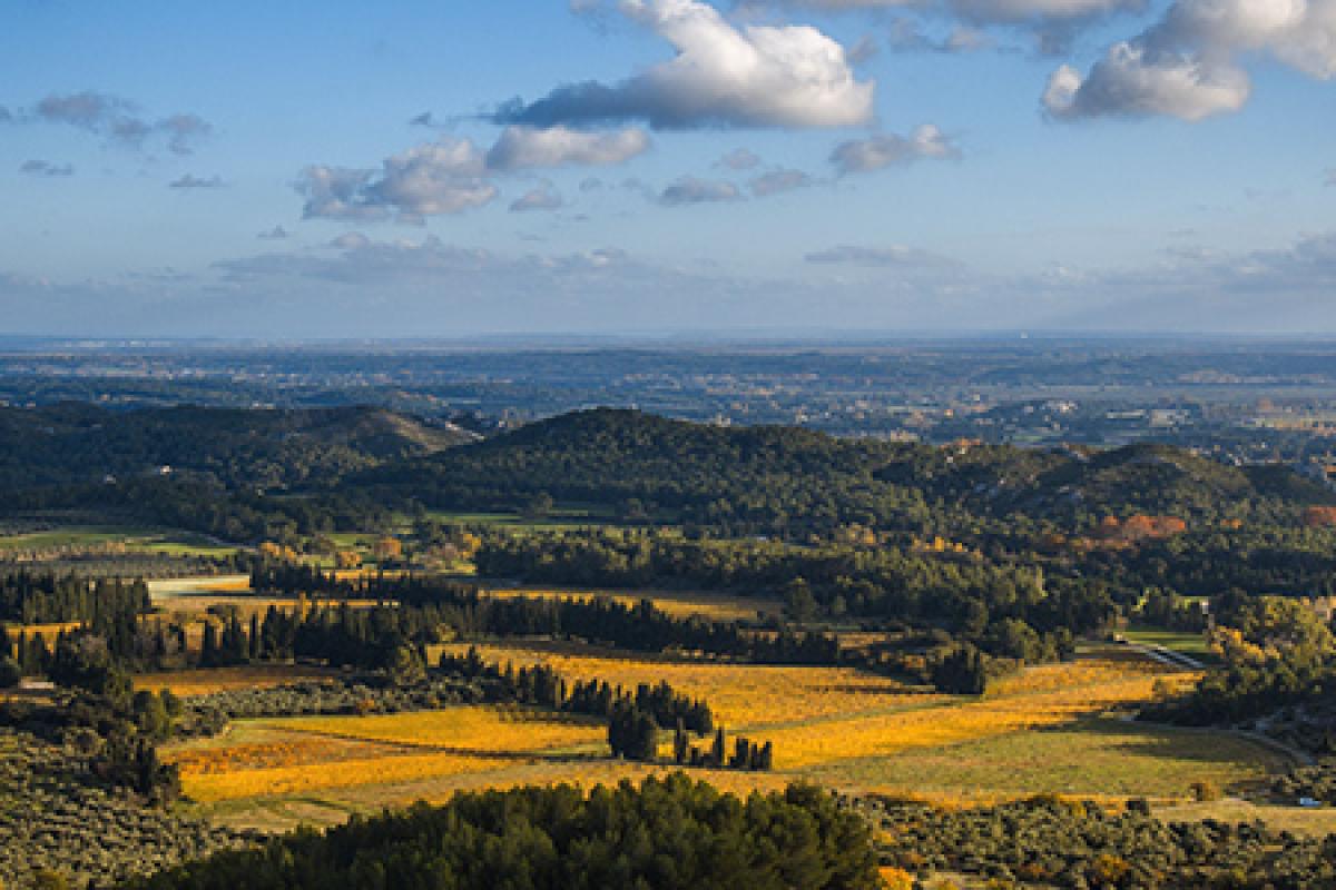 european landscapre