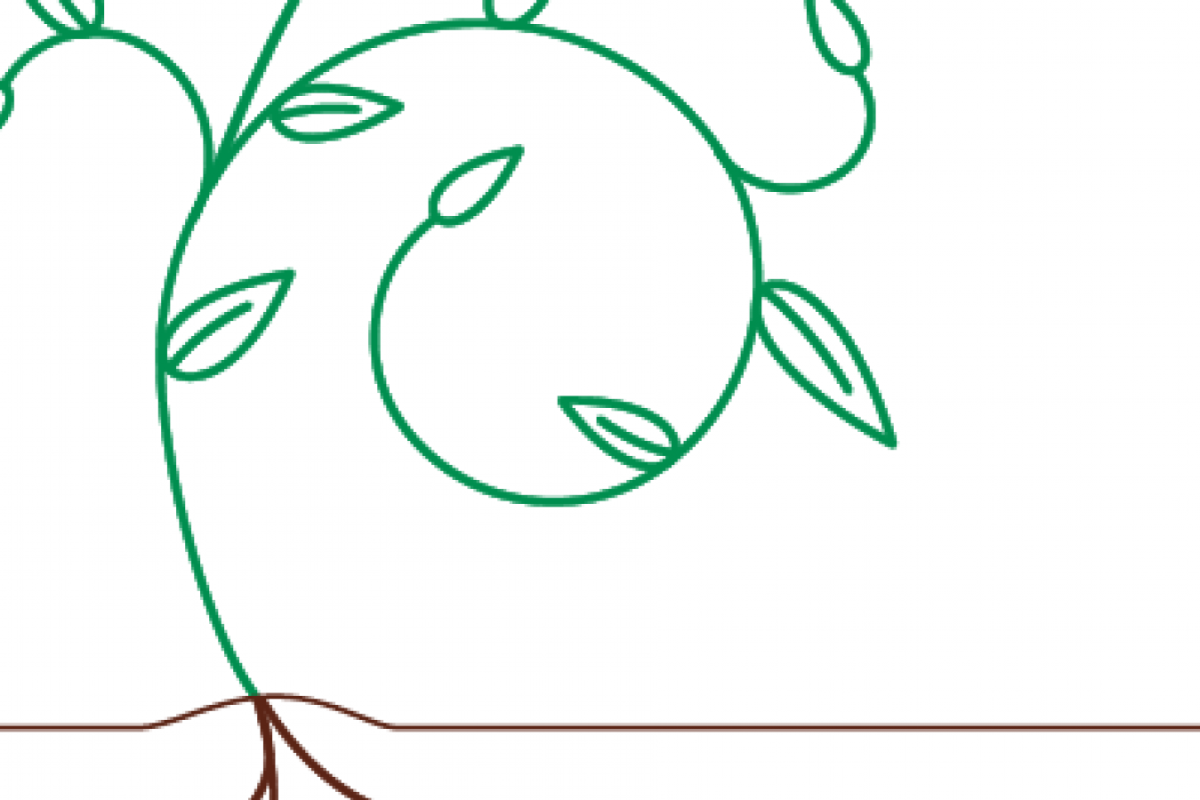 a plant illustration in reference to GMO