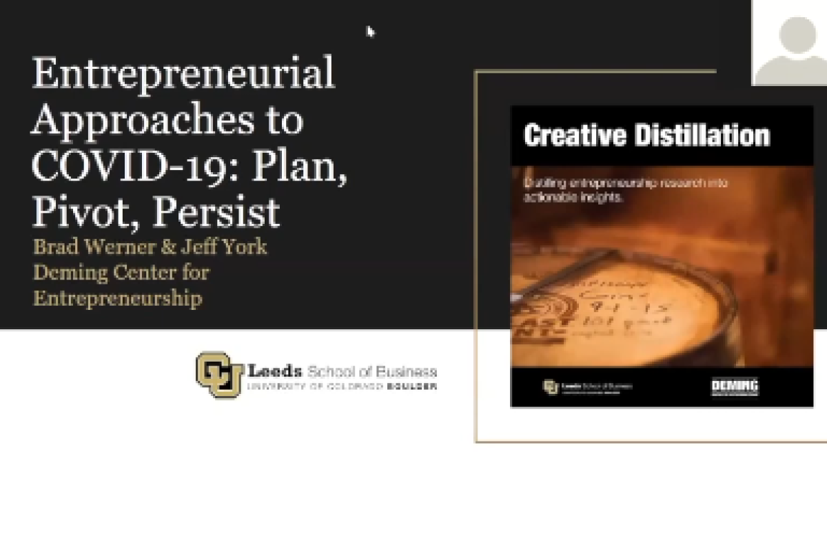 Entrepreneurial Approaches to COVID 19: Plan, Pivot, and Persist