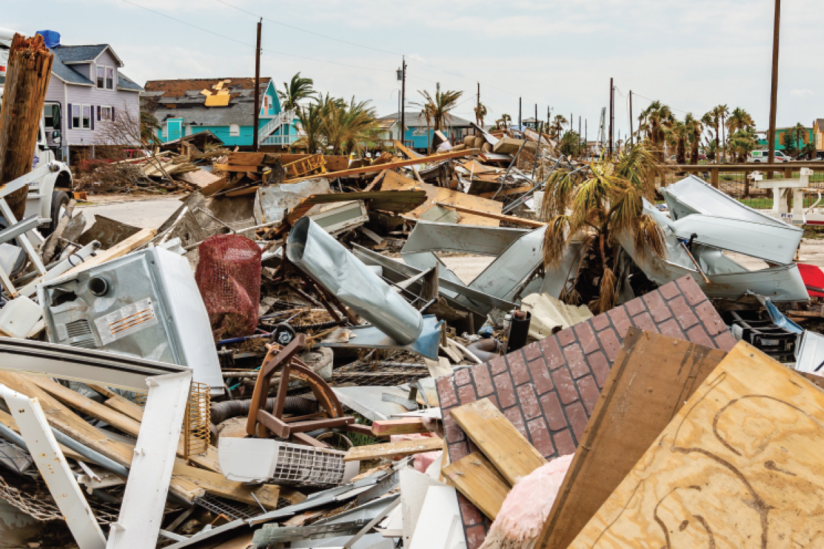 The Winners and Losers of a Natural Disaster