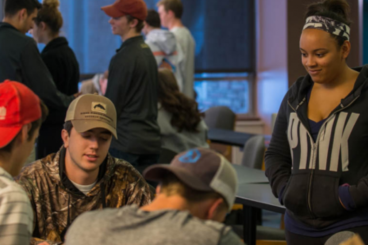 undergraduate students in cohort style class