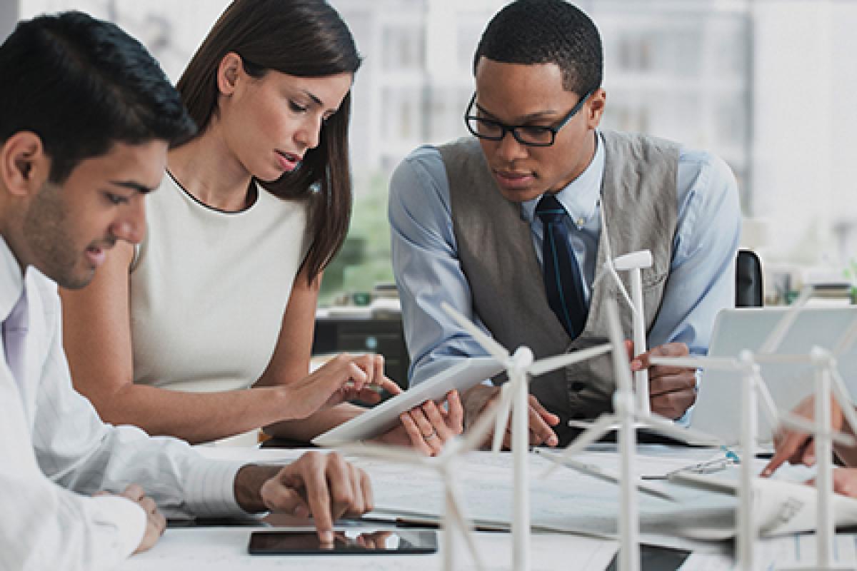 The Business of Sustainable Energy