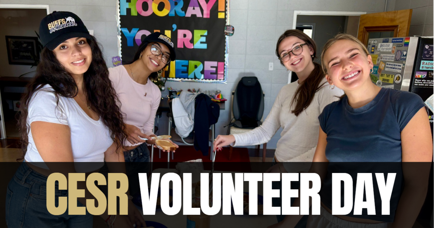 volunteer day