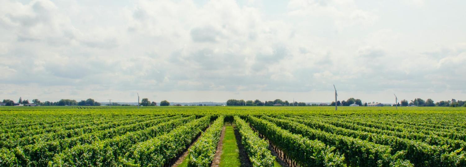 agriculture pic