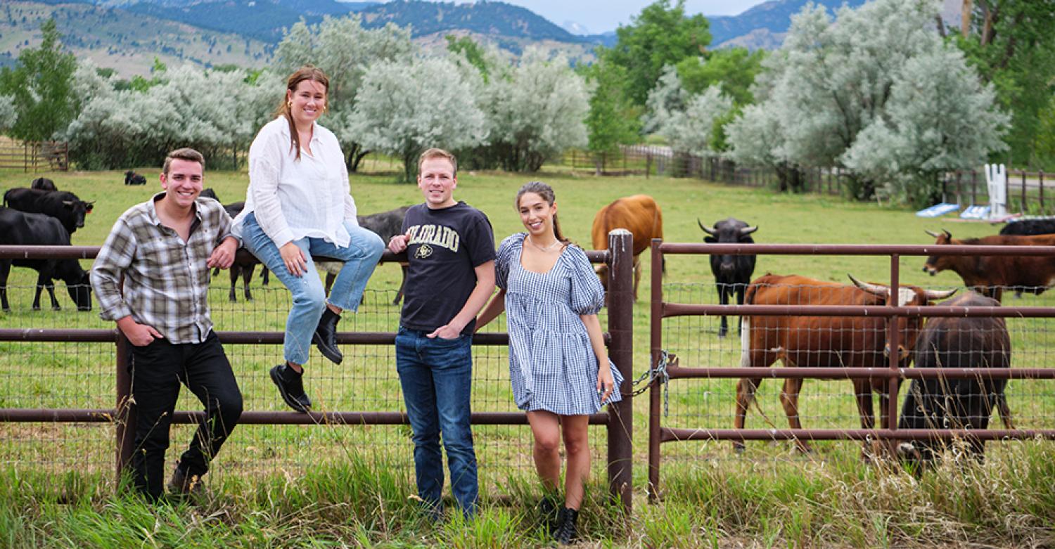 Four students stand along a fence, where cows graze in a pasture.