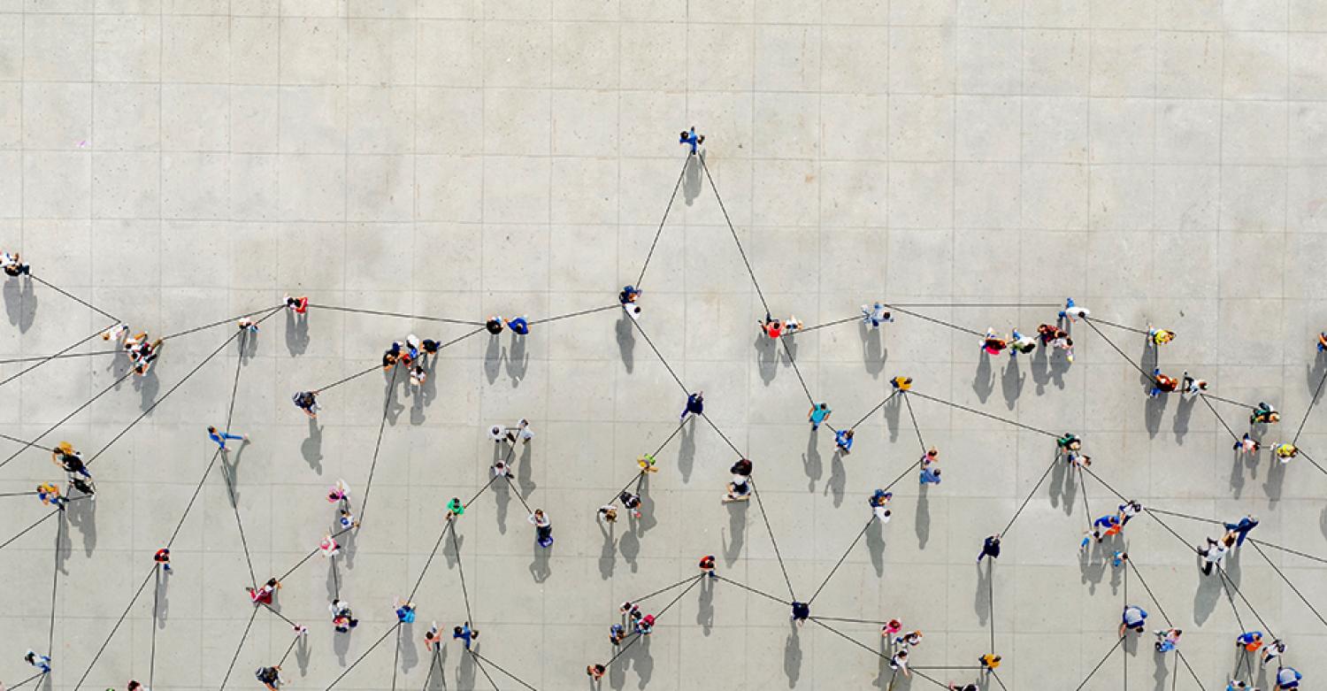 Data targeting Rico Bambuca