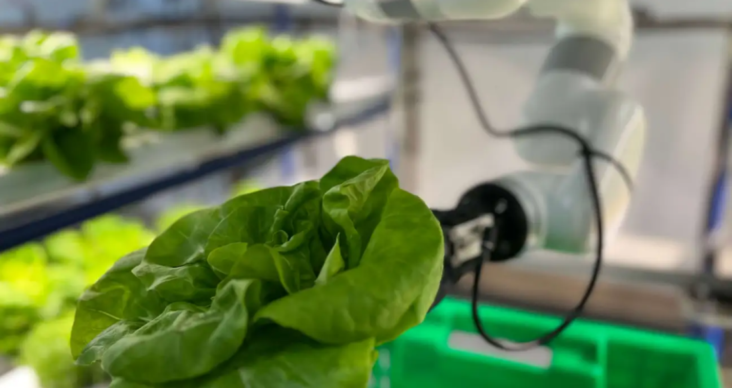 Urban Farm's Robots Taking Care of Plants