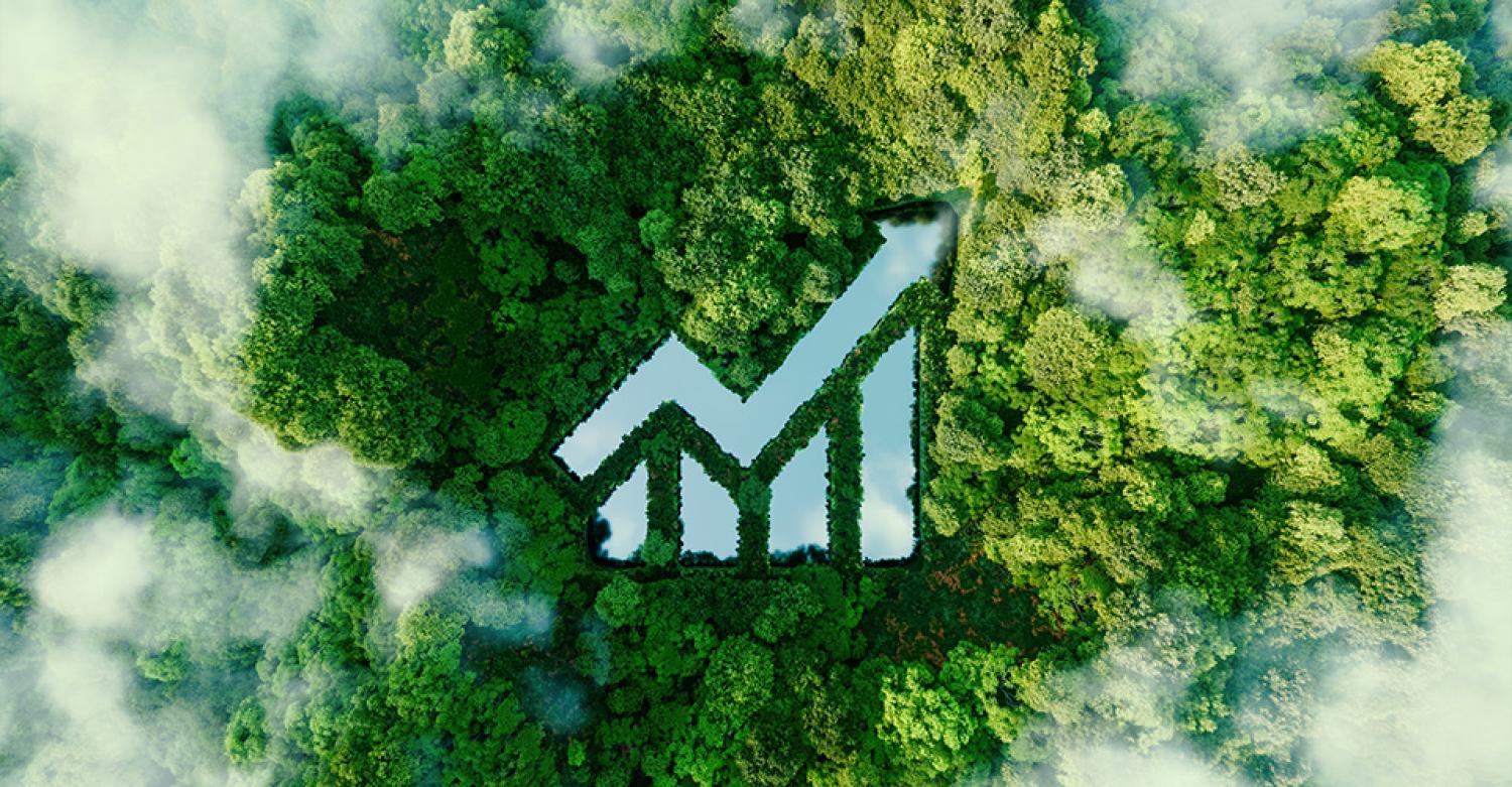 A forest with a lake shaped like a chart in the center.