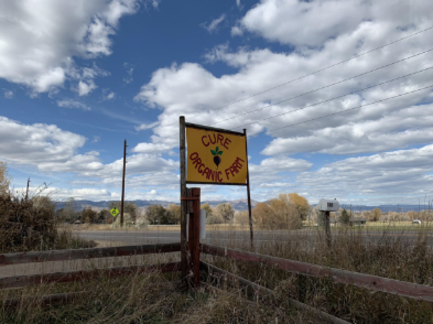 CURE Farm MBA Blog
