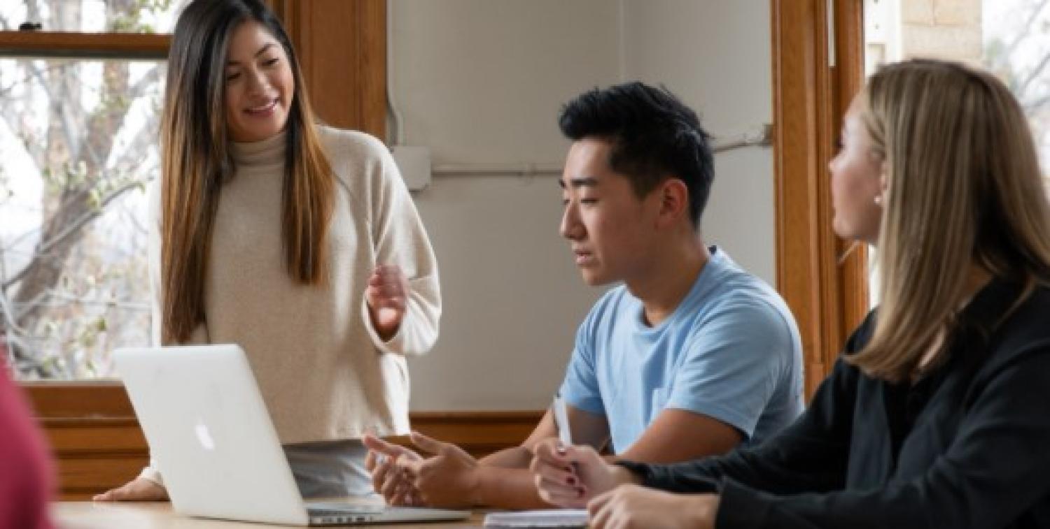 Student consultants