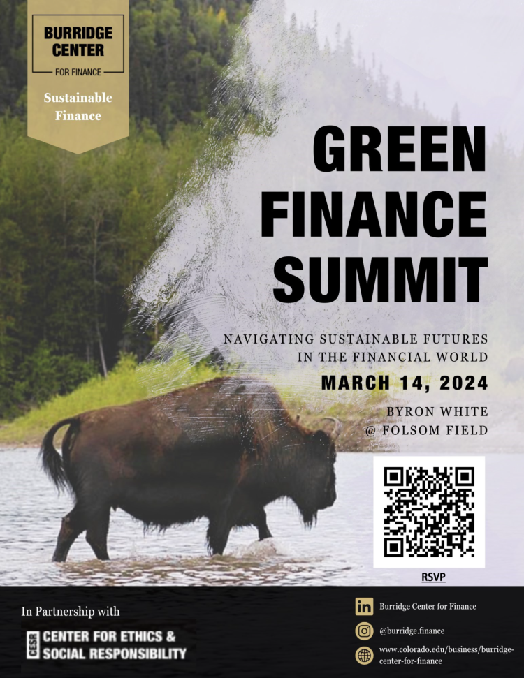 Flyer for Green Finance Summit