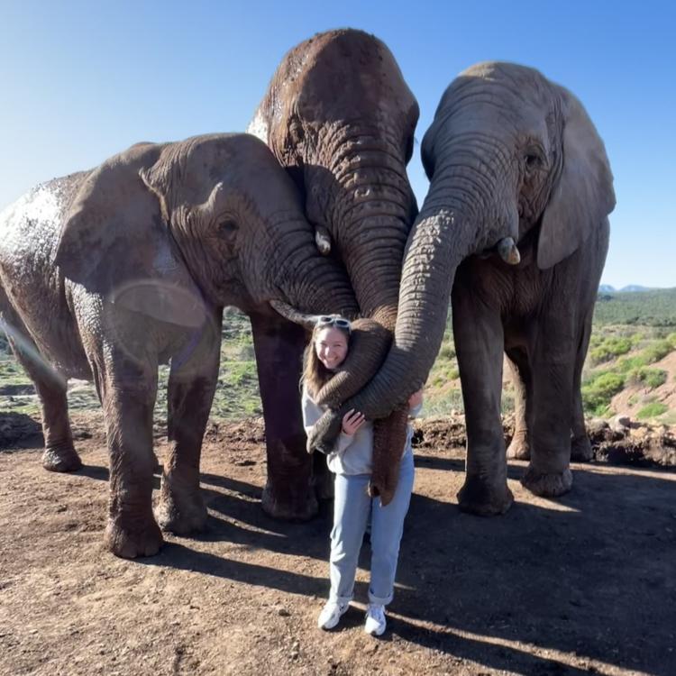 Lauren Vogt posing with three elephants