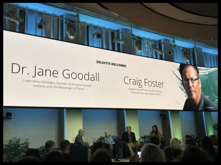 Photo of Jane Goodall Speaker Event at Climate Week